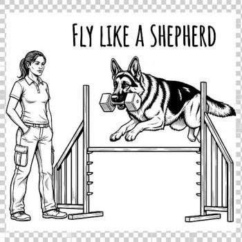 Preview: Damen T-Shirt mit "Fly like a Shepherd"