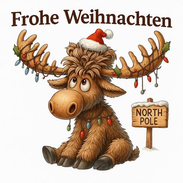 Elch mit Lichterkette